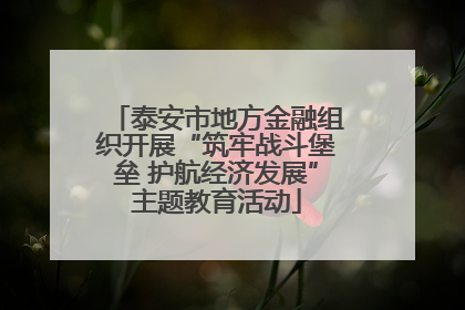 泰安市地方金融组织开展“筑牢战斗堡垒 护航经济发展”主题教育活动